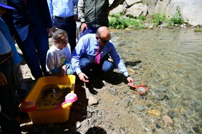 Trabzon’da 14 Yılda 16 Milyon Yavru Alabalık Orman İçi Sulara Bırakıldı