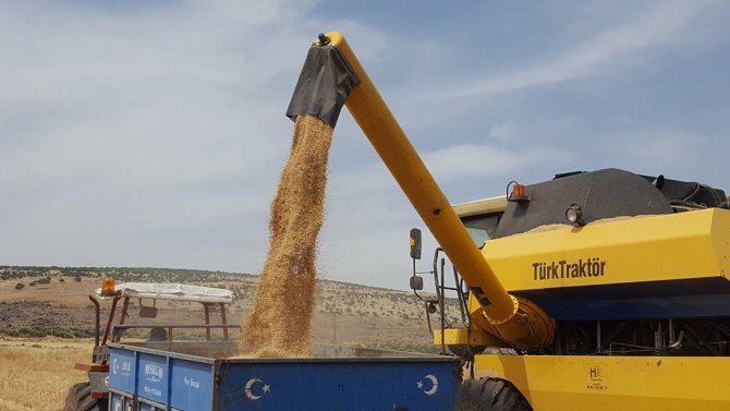 Arpa Ve Buğdayda Yüksek Rekolte Çiftçiyi Sevindirdi