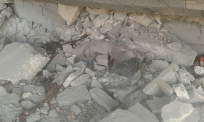 Suriye’de Rejim Uçakları 23 Sivili Öldürdü