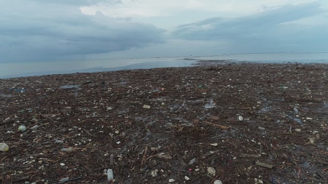 Trabzon’da Şiddetli Yağışlar Sonrası Deniz Çamura Bulandı, Derelerin Getirdiği Ağaç Parçaları İle Doldu