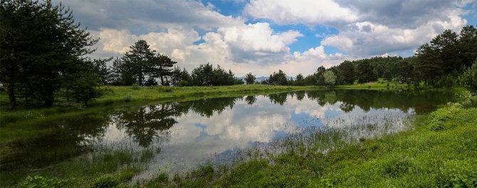 Tabiat Harikası Altınpınar Limni Gölü ’Tabiat Parkı’ Olmayı Bekliyor