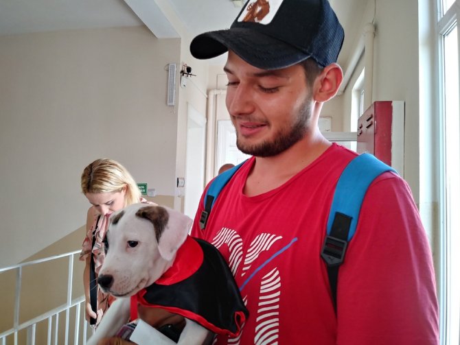 Sarıyer’de Bir Seçmen Yavru Köpeği İle Oy Kullandı