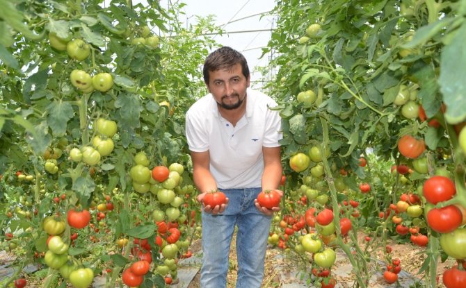 Genç Çiftçi Başardı