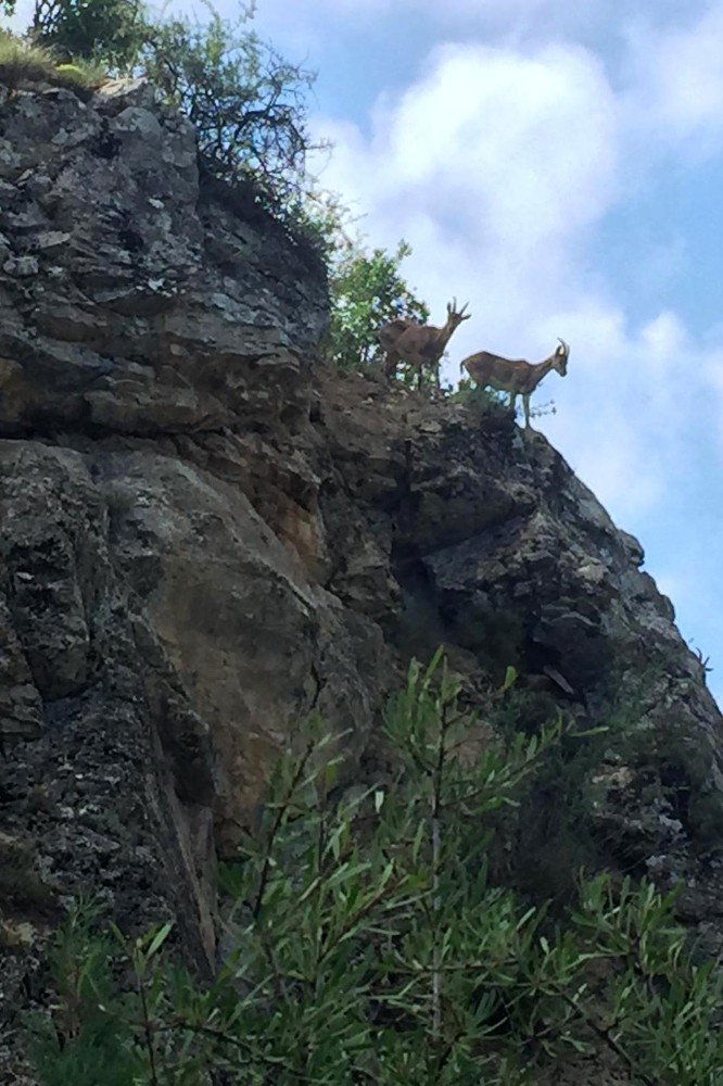 Tomara’nın Güzel Misafirleri Kameralara Takıldı