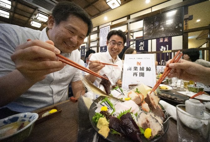 Japonya Protestolara Rağmen Balina Avcılığına Devam Edecek
