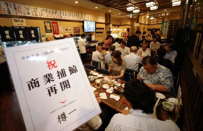 Japonya Protestolara Rağmen Balina Avcılığına Devam Edecek