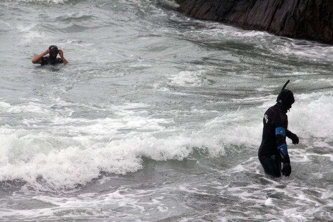 Kayıp Öğretmenin Köpeği Sahilde Sahibini Bekliyor