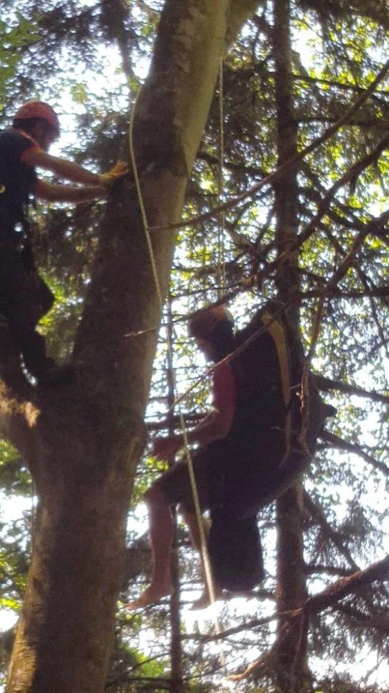 Yamaç Paraşütü Yaparken Ağaca Takılıp Mahsur Kaldı