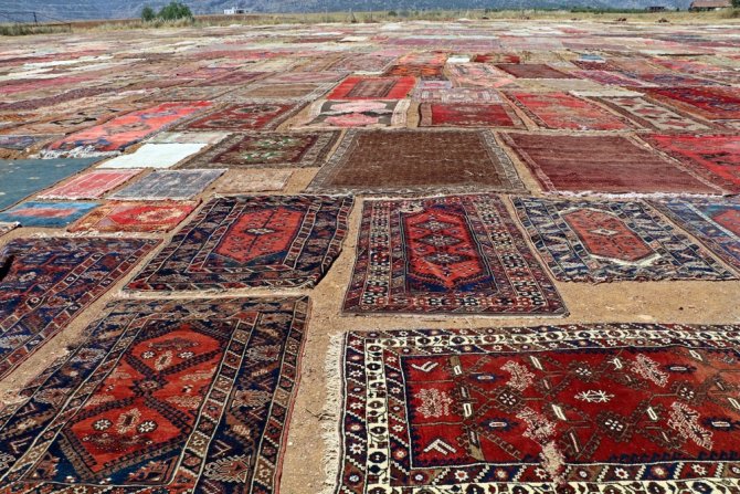 Turlarla Geliyorlar, Tarlada Beğenip Adresine Gönderilmesini İstiyorlar