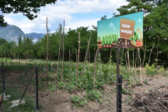 “Doğada Öğreniyorum” Kampları Artvin’de Başladı