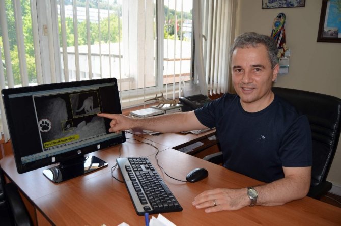 Haban Hayatı Uzmanı Prof. Dr. Başkaya: 