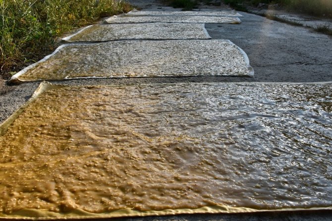 Gümüşhane’de 2 Aylık Pestil Mesaisi Başladı