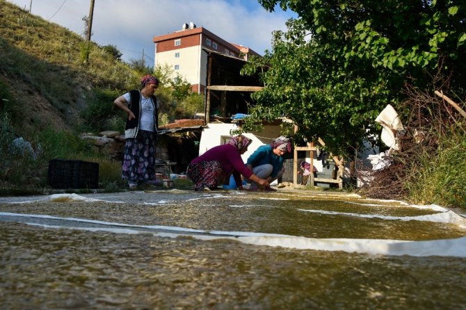 Gümüşhane’de 2 Aylık Pestil Mesaisi Başladı