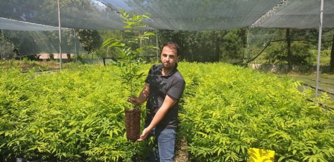 Himalayalar’dan Trabzon’a
