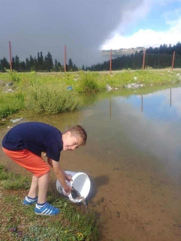 Trabzon’daki Göletlere 53 Bin Adet Pullu Sazan Yavrusu Bırakıldı