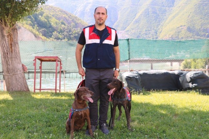 Narkotik Köpeği Vuslat’ın Emeklilik Keyfi