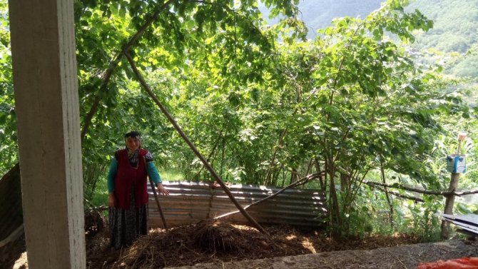 İnek Gübresi Cimer’e Şikayet Edildi