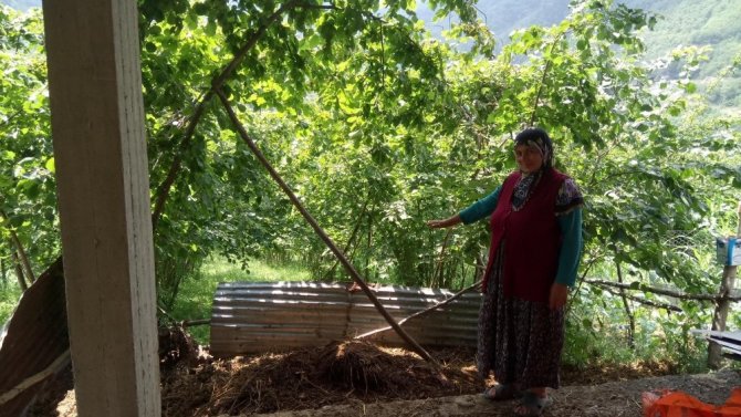 İnek Gübresi Cimer’e Şikayet Edildi