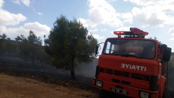 Atatürk Barajı Ormanında Korkutan Yangın