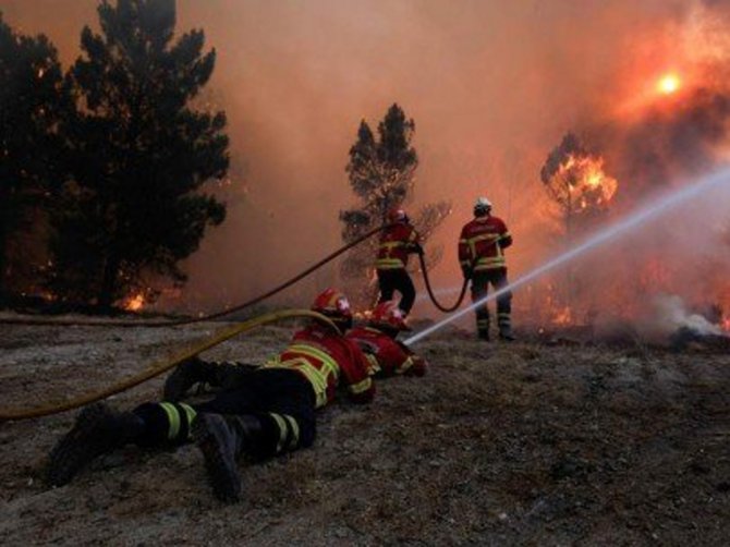 Portekiz’de Orman Yangınları: 8 Yaralı