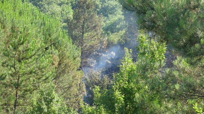 Şile’de Korkutan Orman Yangını
