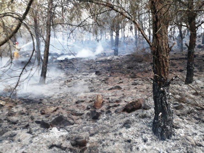 Orman Yangınını Söndürmek İçin Köylüler Seferber Oldu