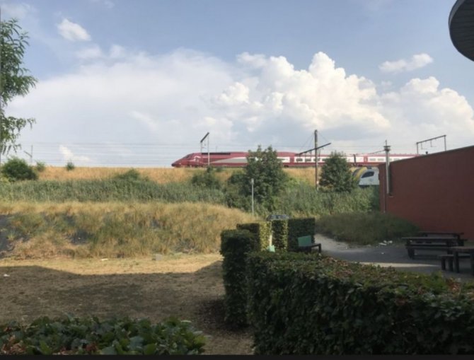 Belçika’da Termometreler 40 Dereceyi Aştı