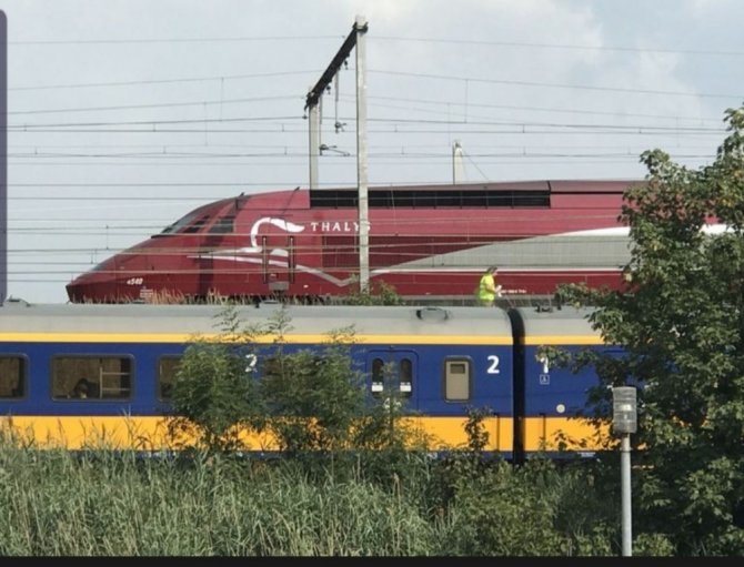 Belçika’da Termometreler 40 Dereceyi Aştı