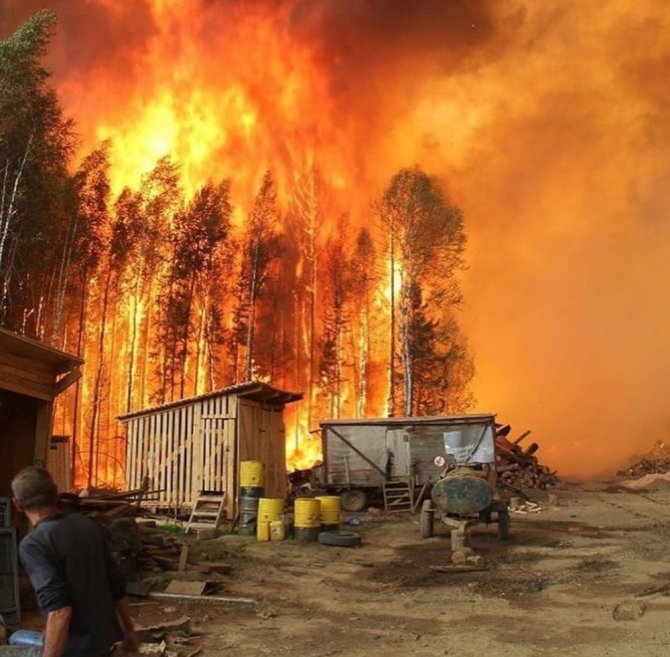 Sibirya’da 3 Milyon Hektar Orman Kül Oldu