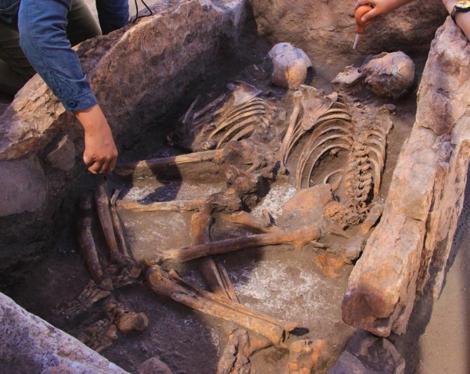 Kazı Çalışmasında 5 Bin Yıllık İnsan İskeletleri Çıktı