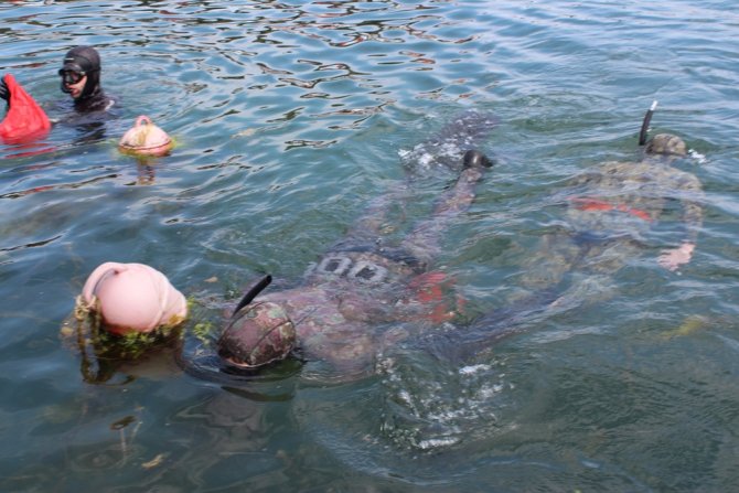 Yalovalı Zıpkıncılar Bu Kez Deniz Canlıları İçin Daldı