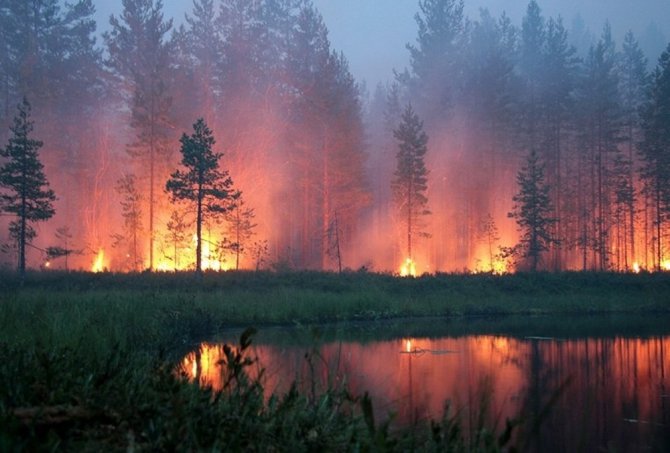 Sibirya’da Orman Yangınlarının Şiddeti Azalmaya Başladı
