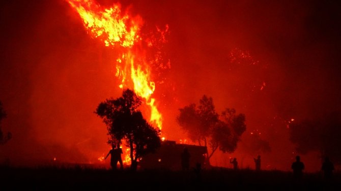 Çanakkale’deki Yangının Bilançosu Ortaya Çıkmaya Başladı