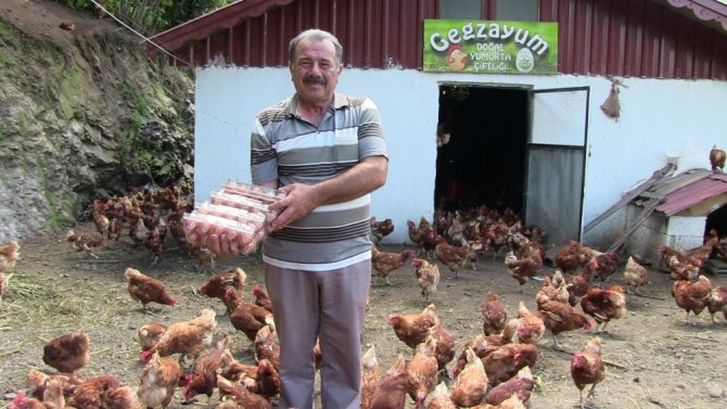 Polislikten Emekli Olununca Organik Tavuk Çiftliği Kurdu