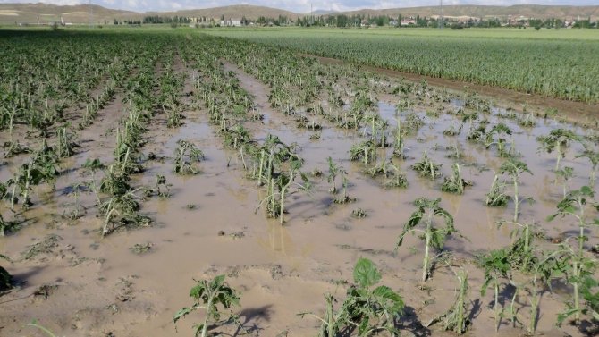 Aksaray’da Tarım Arazilerini Dolu Ve Sel Vurdu