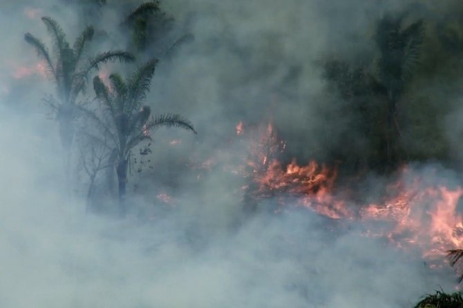 Nasa, Amazon Yangınlarını Uzaydan Görüntüledi