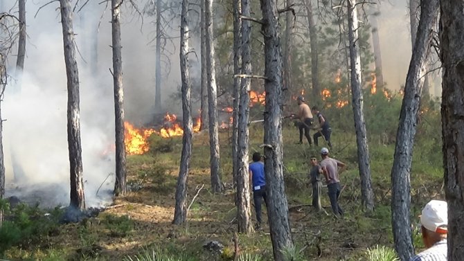 Uşak’ta Çıkan Orman Yangını Kontrol Altına Alındı