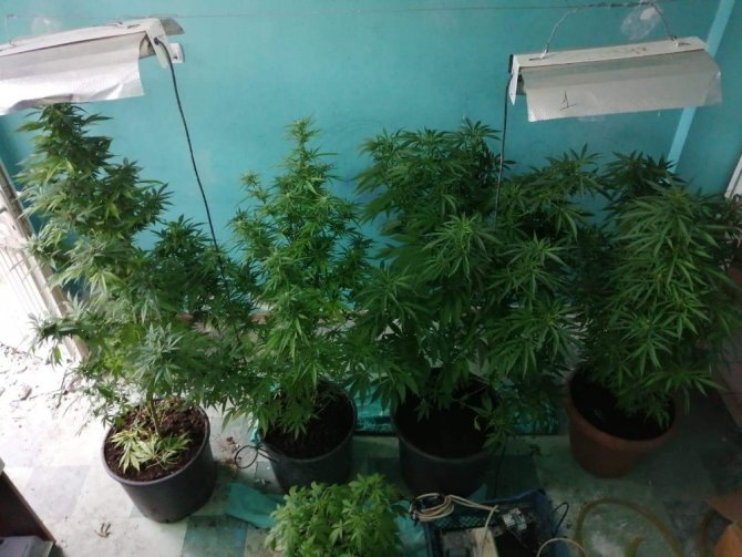 Uyuşturucu İçin Kurulan Sistem Polisi Bile Şaşırttı