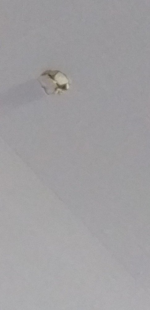 Su İçmek İçin Mutfağa Gitti, Maganda Kurşunundan Kıl Payı Kurtuldu