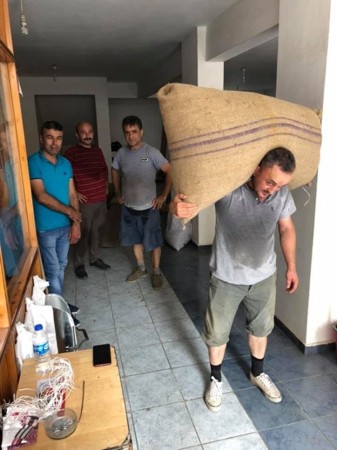 Serbest Piyasada Fındık Fiyatı Düşmeye Devam Ediyor
