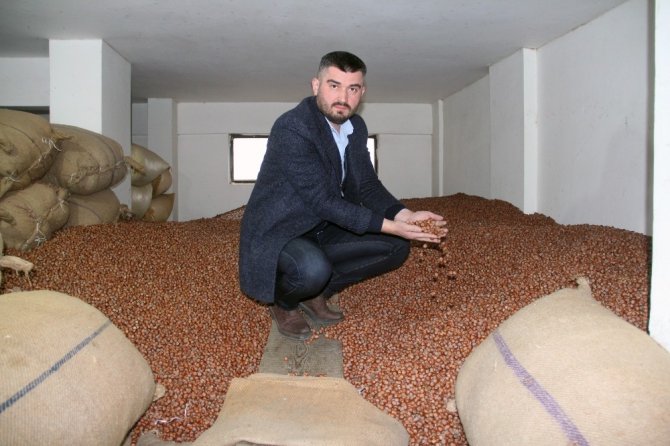 Serbest Piyasada Fındık Fiyatı Düşmeye Devam Ediyor