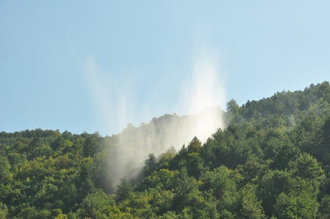 Sinop’ta Şüpheli Orman Yangını