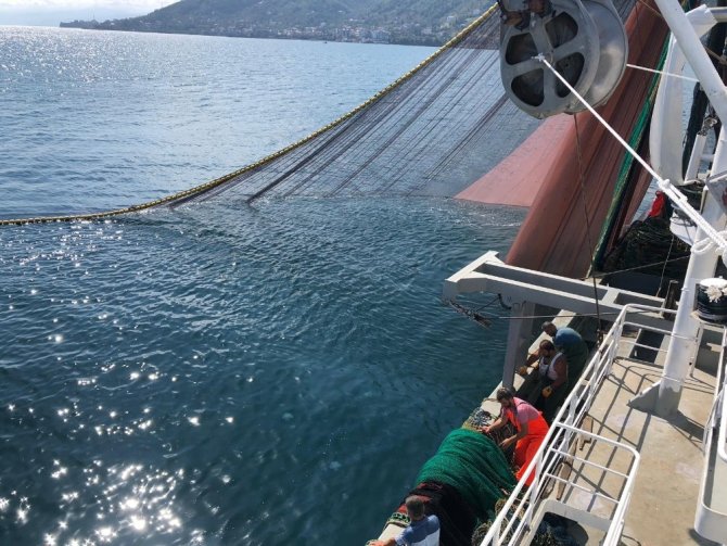 30 Yılda Sezonun İlk Gününde İlk Kez Bu Kadar Az Palamut Yakaladılar