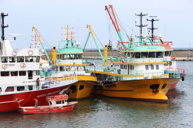 Palamut Avından Aradığını Bulamayan Trabzonlu Balıkçıların Umudu Hamsi Oldu