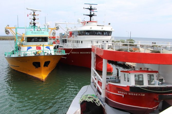 Palamut Avından Aradığını Bulamayan Trabzonlu Balıkçıların Umudu Hamsi Oldu