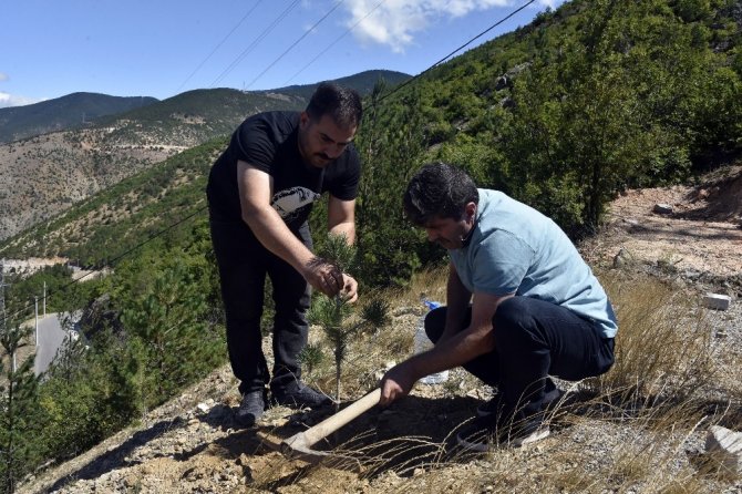 Bu İlçede Her Doğan Bebek İçin Fidan Dikiliyor