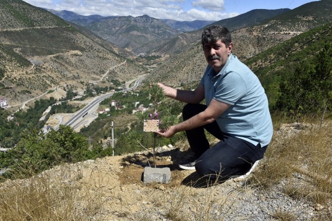 Bu İlçede Her Doğan Bebek İçin Fidan Dikiliyor