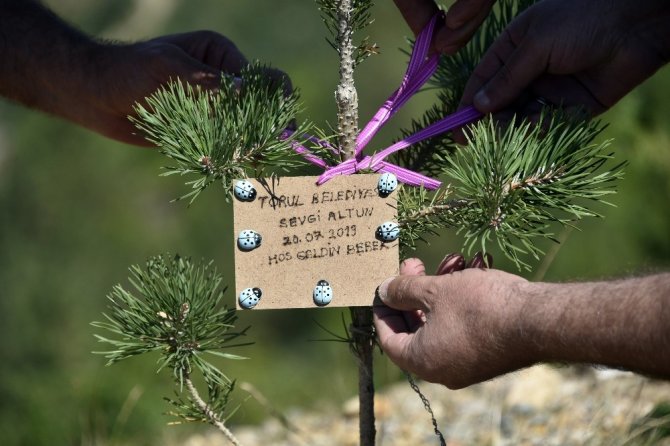 Bu İlçede Her Doğan Bebek İçin Fidan Dikiliyor