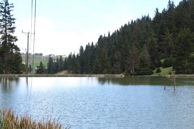 Hırsızlar 300 Haneli Yaylanın İletişimini Kestiler