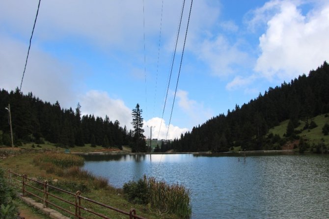 Hırsızlar 300 Haneli Yaylanın İletişimini Kestiler